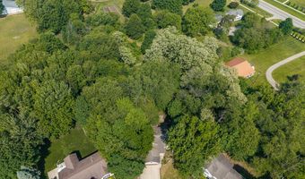 11121 Timberline Dr, Allendale, MI 49401