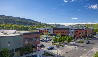 231 Robinson Street 330, Basalt, CO 81621