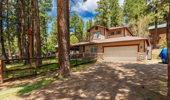 10 Snowbird Ct, Bayfield, CO 81122