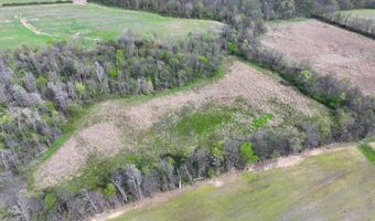 County Road 450 N, Albion, IL 62806