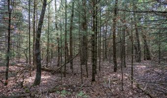 Lot 35 19th Court, Arkdale, WI 54613