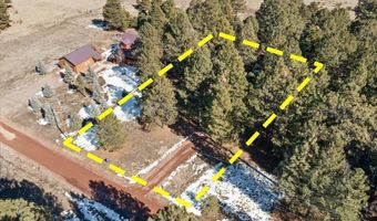 24 Co Rd 2065, Alpine, AZ 85920