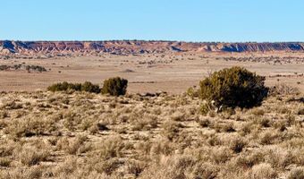N7009 40 Acres, Chambers, AZ 86502