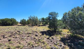 85 N 8522, Concho, AZ 85924