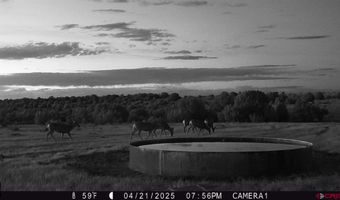 000 County Road 40.2 Poitry Canyon Ranch, Branson, CO 81027