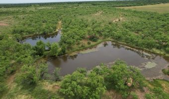 Tbd FM 600, Anson, TX 79501