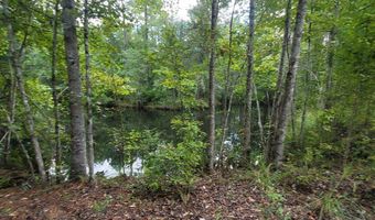 00 Coot Adams Rd, Ashford, AL 36312