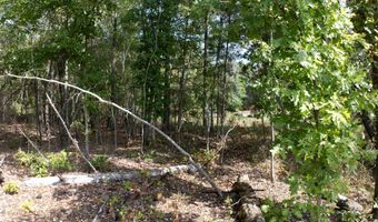 Cr 816, Blue Mountain, MS 38610
