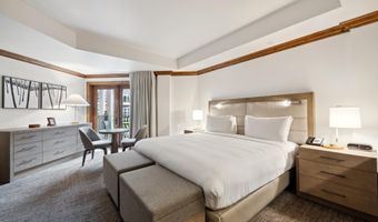 415 E Dean St Unit 20 Week 33, Aspen, CO 81611