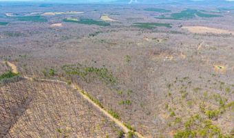 Larkin Mountain, Amherst, VA 24521