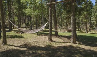 141 Via Del Rey, Angel Fire, NM 87710