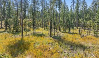 E Quarter Mile Rd, Athol, ID 83801