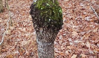 0 VENABLE Rd, Argo, AL 35173