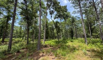 Fox Paw Court, Branchville, SC 29432