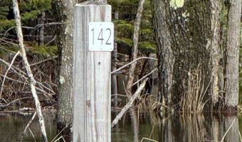 6430 6648 Admirals Point Drive Lot 9 Boat Slip 142, Alanson, MI 49706