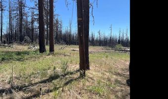 Zebu Lane Block 103 Lot 2 Lane 2, Bonanza, OR 97623