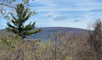 0 Lois Ln, Arlington, VT 05250