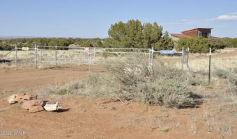 12 County Rd N8543, Concho, AZ 85924