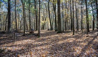 Lot 33 S Badger Lane, Arkdale, WI 54613