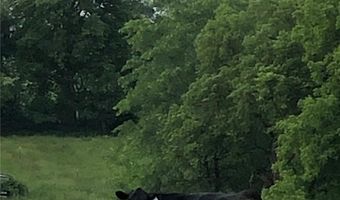 SE 95th Road, Agency, MO 64401