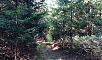 Banwell Road, Alanson, MI 49706