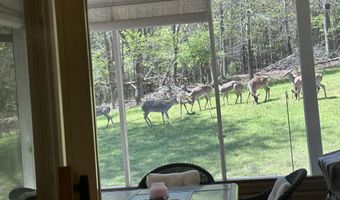 267 Back 9 Dr, Baneberry, TN 37890
