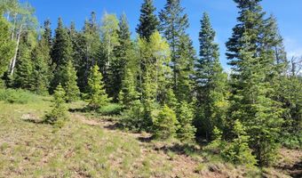 Braffits Creek Lot 61 & 62, Brian Head, UT 84719