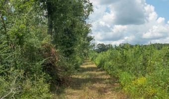 00 Ebenezer Church Rd, Bassfield, MS 39421