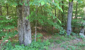 Wendy Drive lot 134-135, Alton, NH 03810