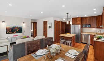 725 E Main St 309, Aspen, CO 81611