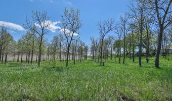 No Situs 3.14ac 636A Avenue, Auburn, NE 68305
