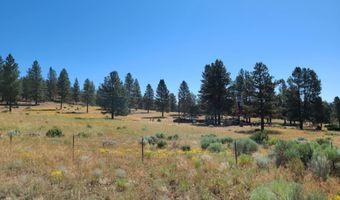 31747 Godowa Springs Rd, Beatty, OR 97621