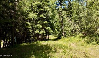 1710 Tower Mountain Rd, Blanchard, ID 83804