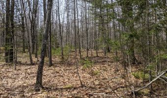 Arrowsic Road, Arrowsic, ME 04530