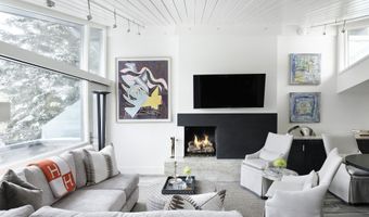 1001 E Cooper Ave 2, Aspen, CO 81611