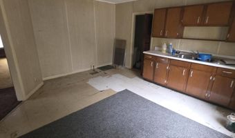 113 W Walnut St, Albion, MI 49224