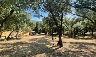 295 Mary Belle Way, Angels Camp, CA 95222
