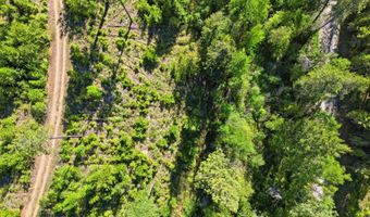 NNA Stone Rd Lot 2 20.0 Acres, Blanchard, ID 83804