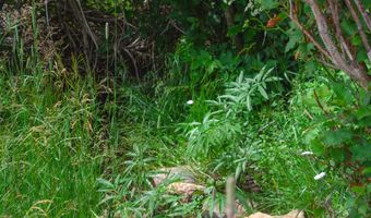 73 Arellano Rd, Amalia, NM 87512