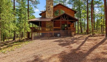 6 County Road 2070, Alpine, AZ 85920