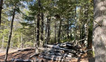 341 Perkins Hill Rd Lot 7, Alexandria, NH 03222