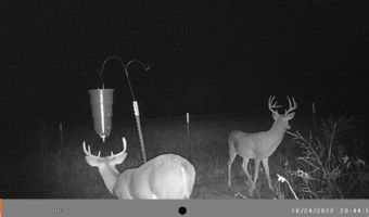 17810 Harreld Rd, Beggs, OK 74421
