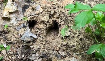 N3953-201 Bear Pen Road, Arkansaw, WI 54721