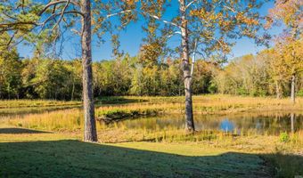 6841 Rudolph Rd, Alexander, AR 72002