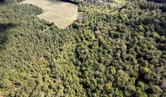 Welcome School Road, Autryville, NC 28318
