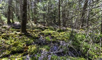Arrowhead Road lot 38, Bar Harbor, ME 04609
