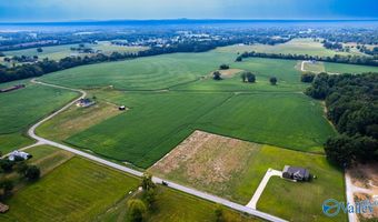 30 Acres Stevenson Rd, Ardmore, TN 38449