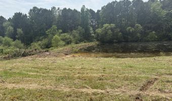 10 County Road 1521, Bay Springs, MS 39422