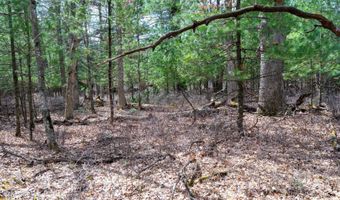 255 45 Ac Dover Dr, Adams, WI 53910