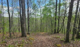 Lots 4 5 6 New Pointe Rd, Albany, KY 42602